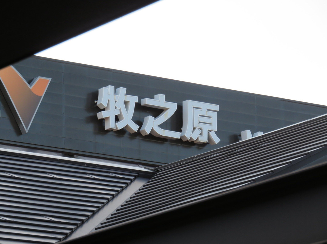 Makinohara Service Area Outbound-牧之原市必去景点