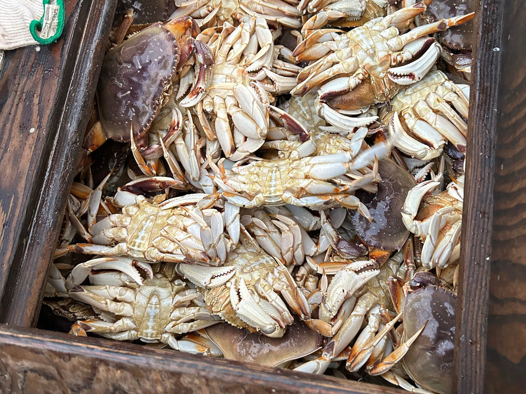 Eagle Charters Fishing-太平洋城必去景点