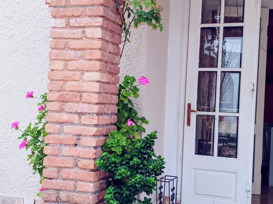 Iliada Beach Hotel主图