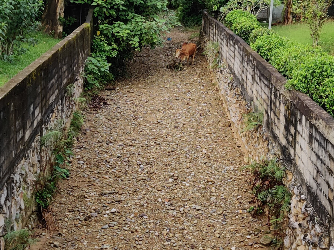 比尔林别墅旅馆主图