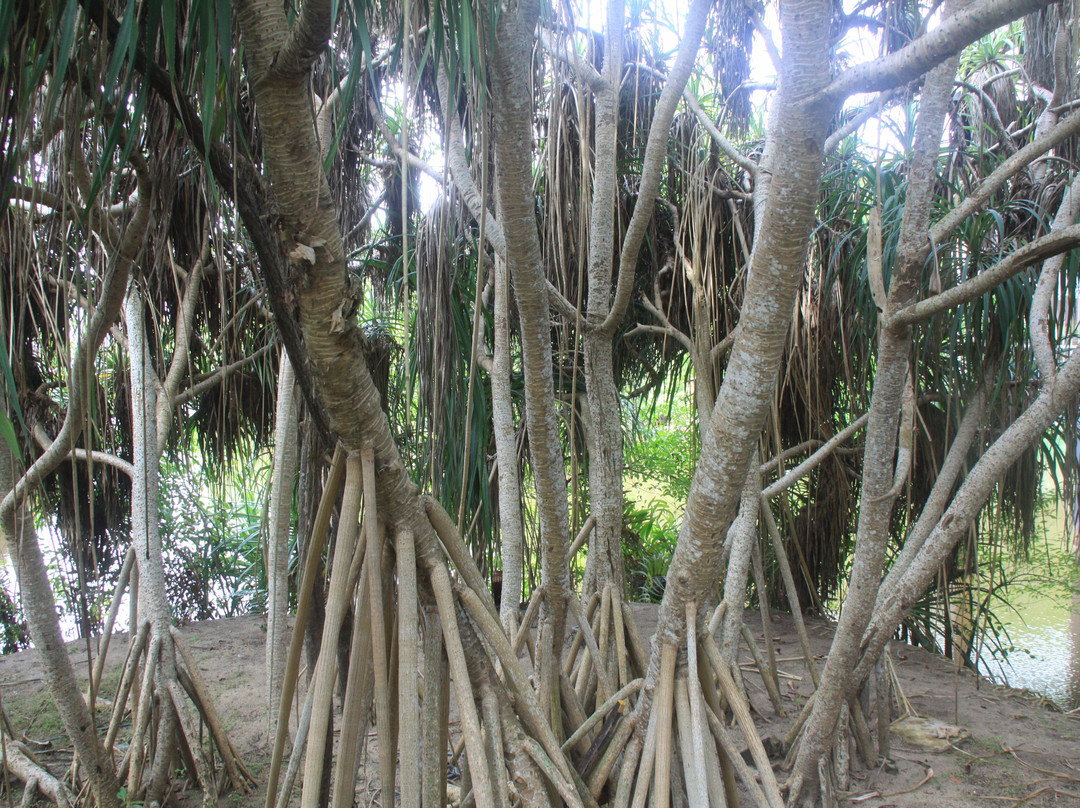 素里亚度假酒店主图