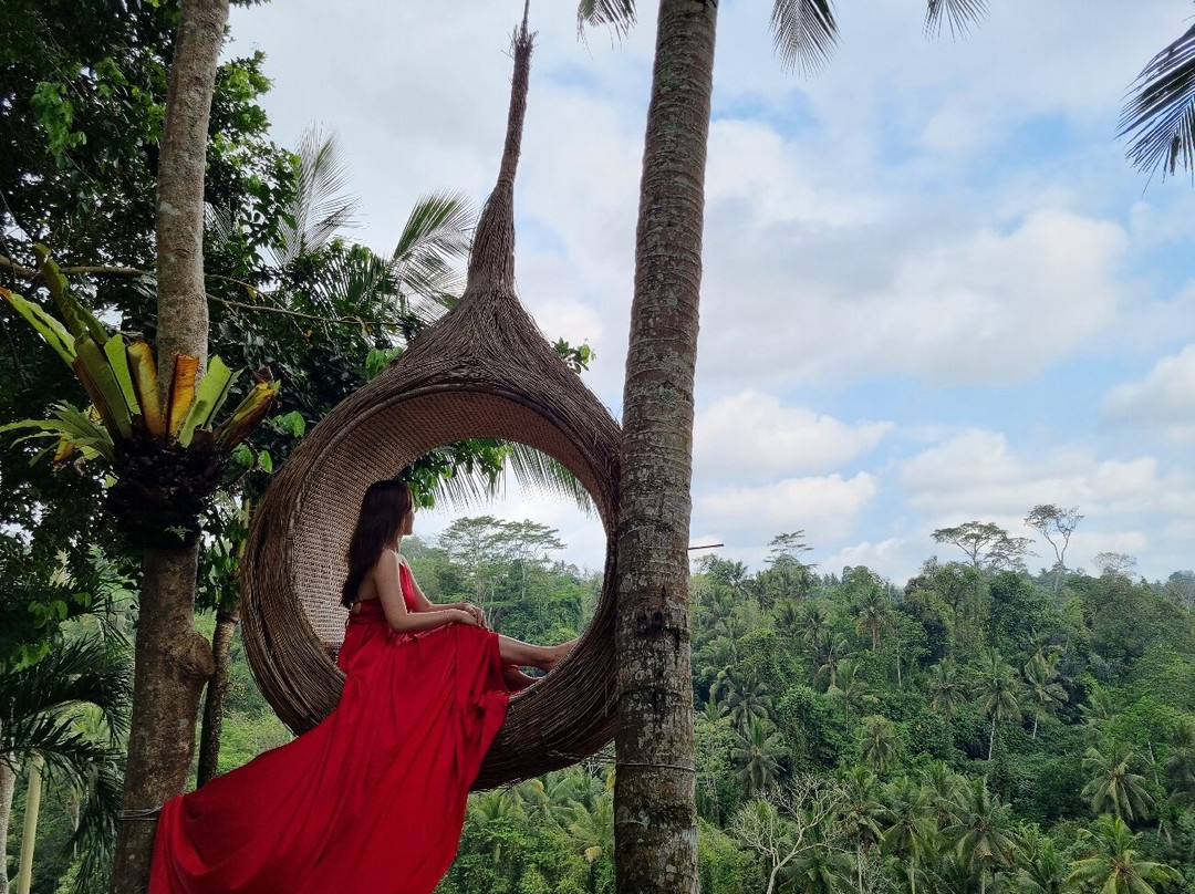 Picheaven Bali Swing-乌布必去景点