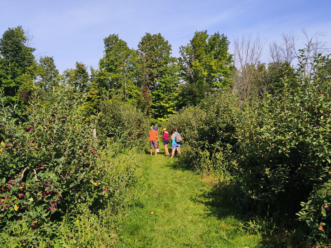 Cannamore Orchard-Crysler必去景点