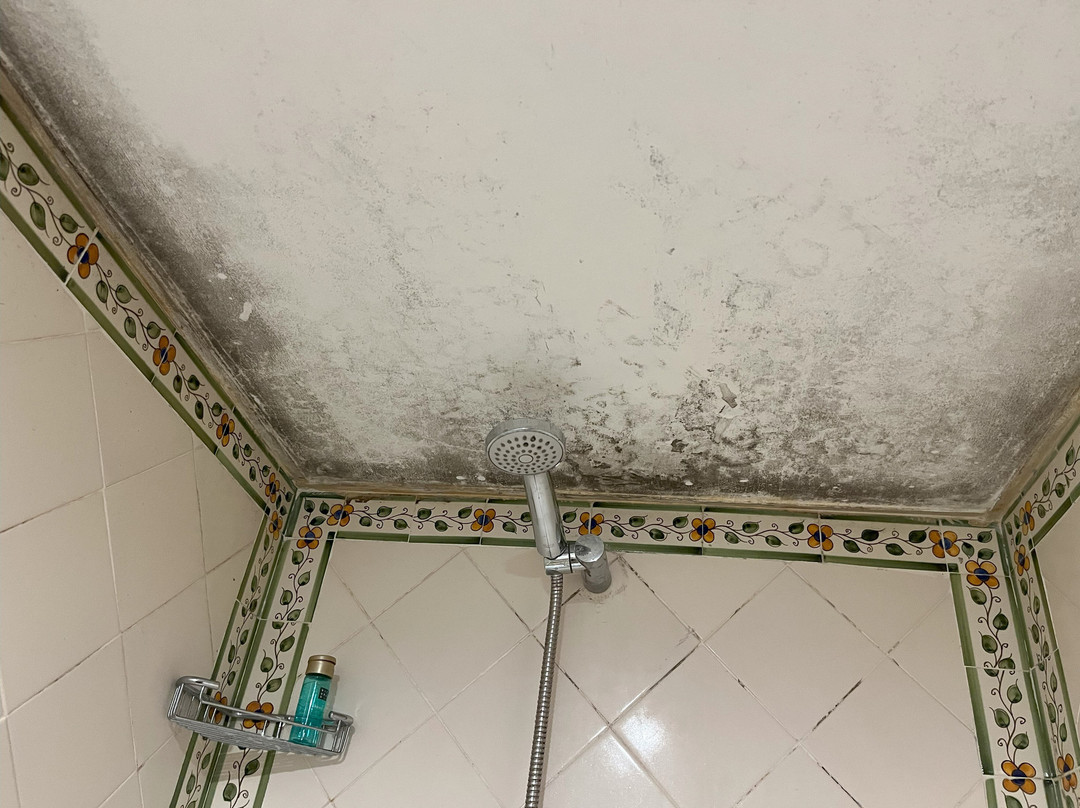 The Manor House Celeirós主图