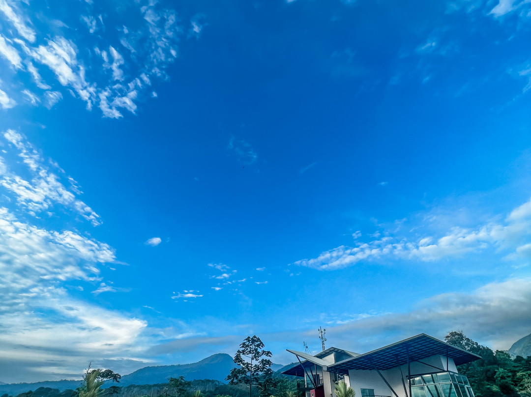 Hotel Finca 360