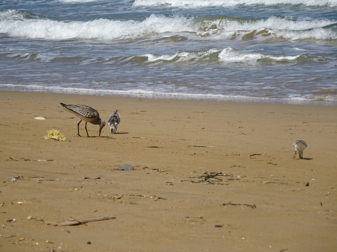 Gournes Beach-Gournes必去景点