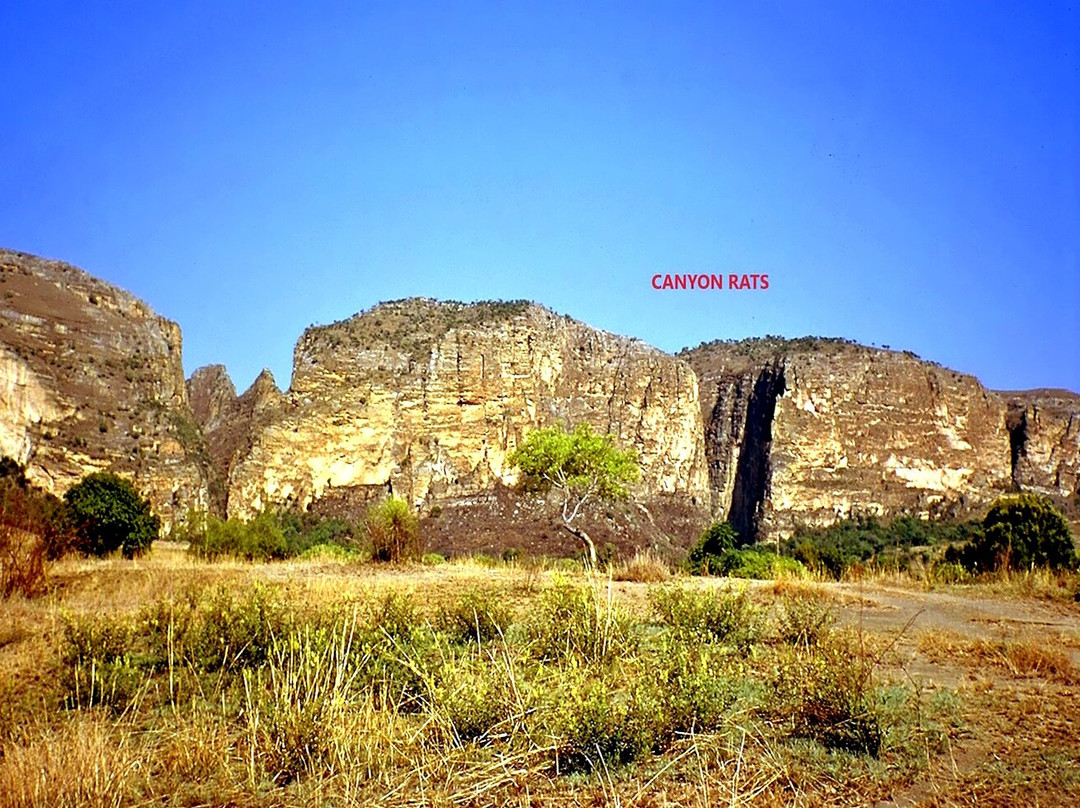 Canyon des Rats景点图片
