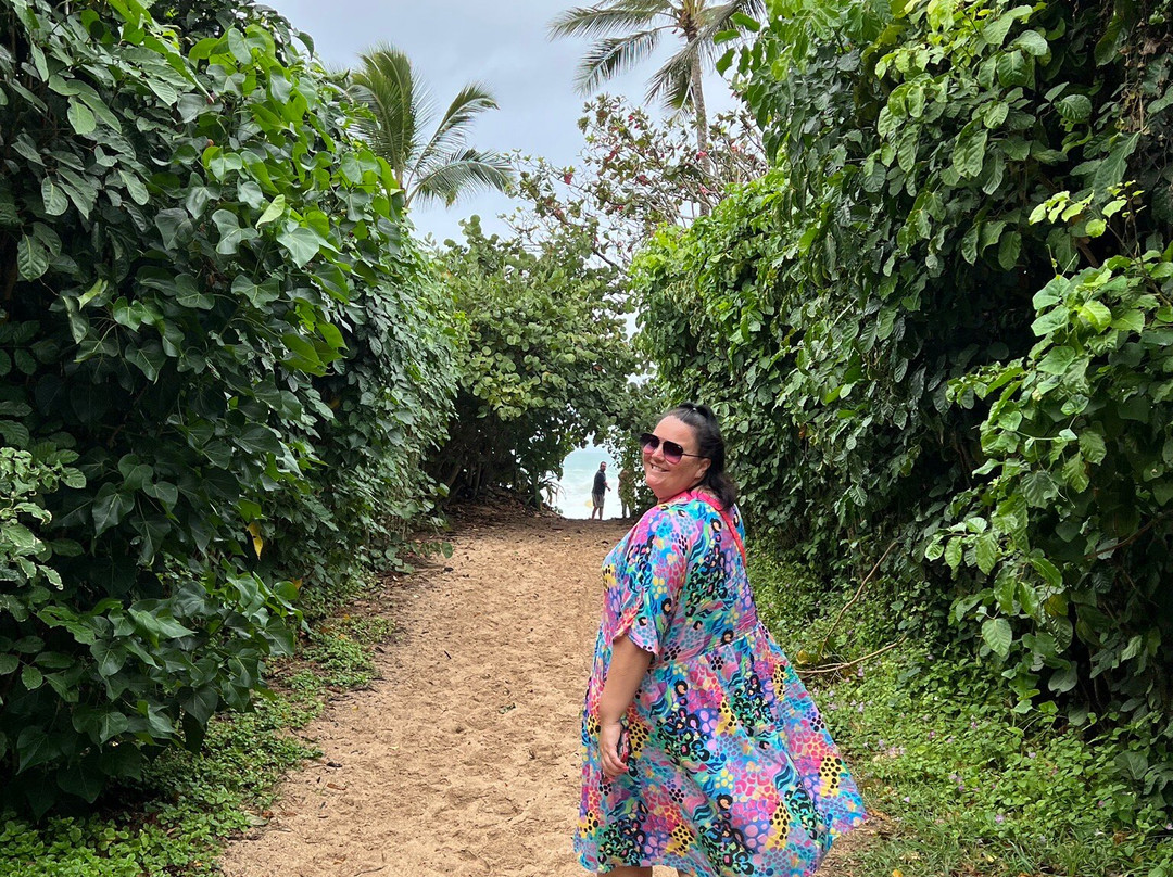 Hawaii Bucket List Tours-火奴鲁鲁必去景点