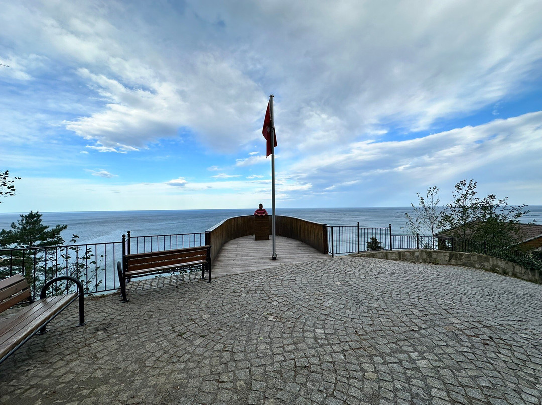 Hancioglu Çamburnu Orman Evleri (Bungalow) & Hotel主图
