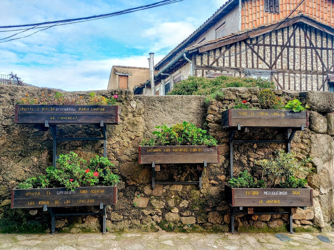 Ayuntamiento de San Martín del Castañar景点图片