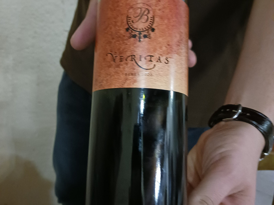 Household BRAJKOVIĆ-Zastolje必去景点