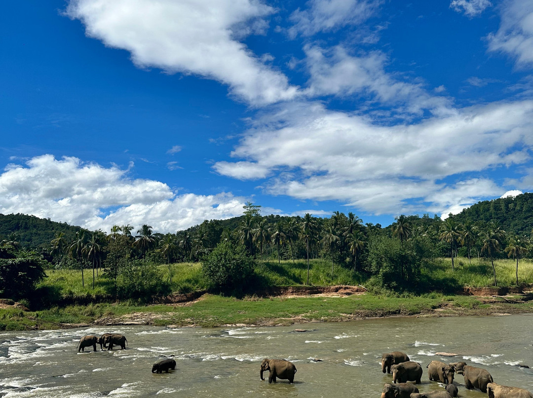 Aloha Sri Lanka (Pvt) Ltd景点图片