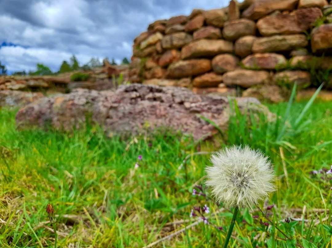 Eco Parque Conscientia Universallis-莱瓦镇必去景点