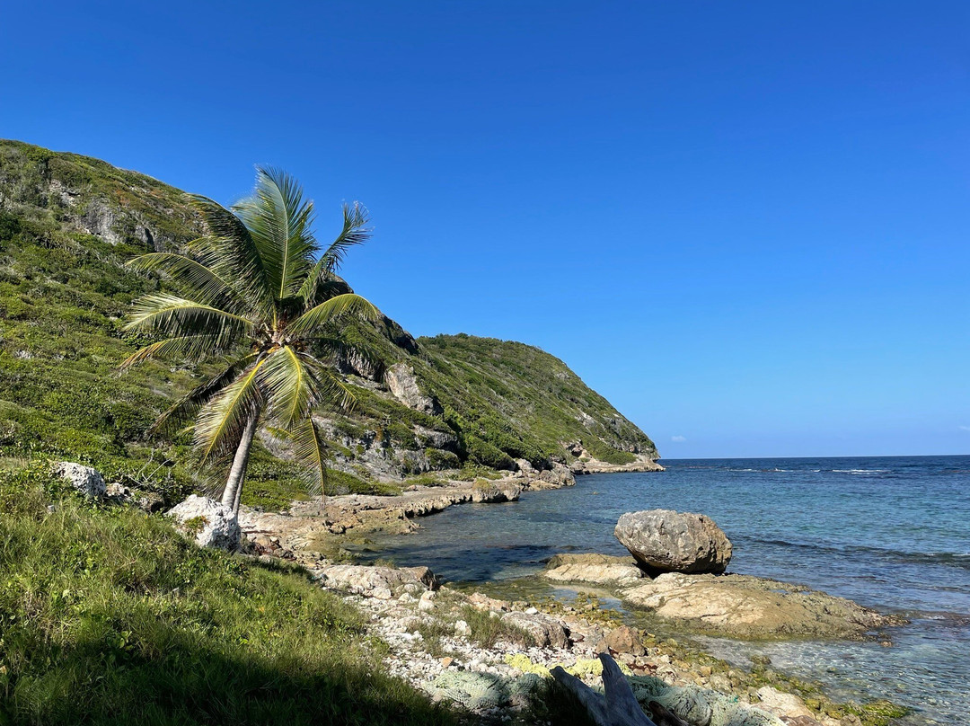 Guadeloupe Explor-Le Moule必去景点