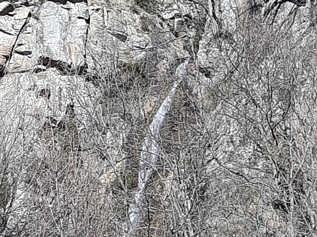 隆切特斯旅馆主图