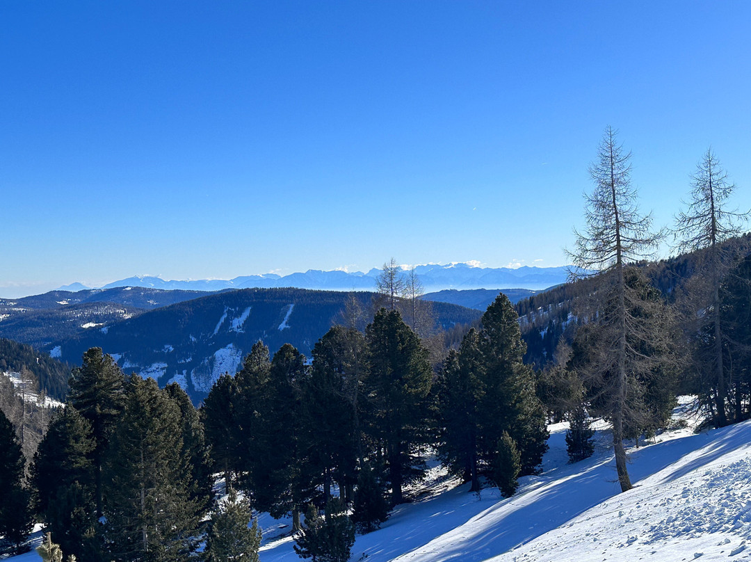 Heidi-Hotel Falkertsee主图