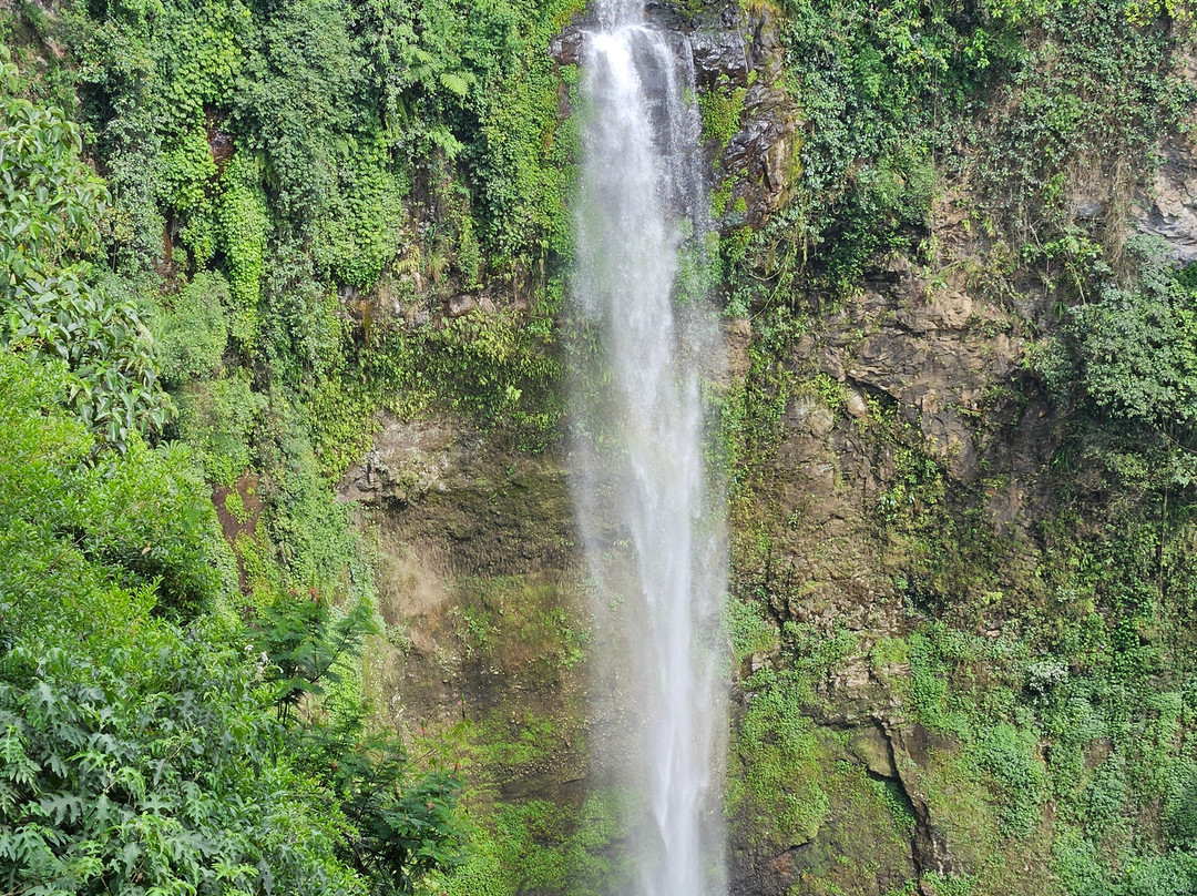 Shaf Rental-万隆必去景点