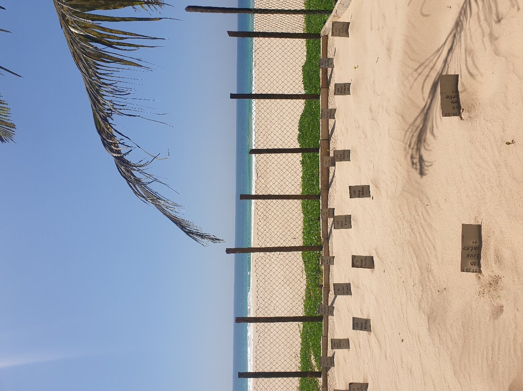 Galle Tours & Travels-加勒必去景点