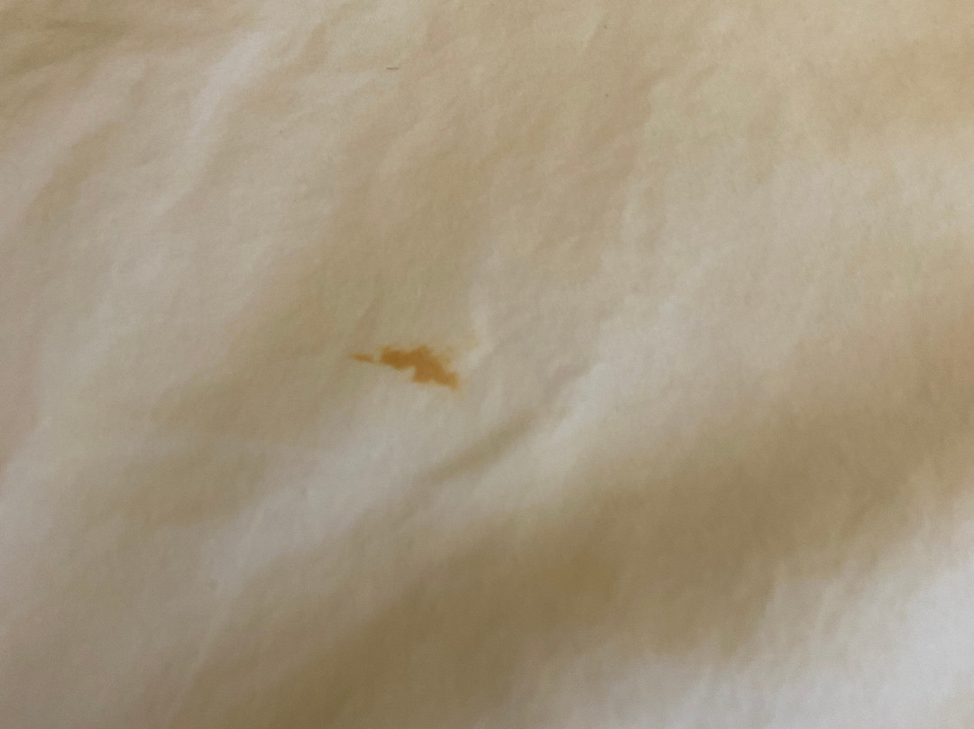 斯威尼阿维莫尔客房