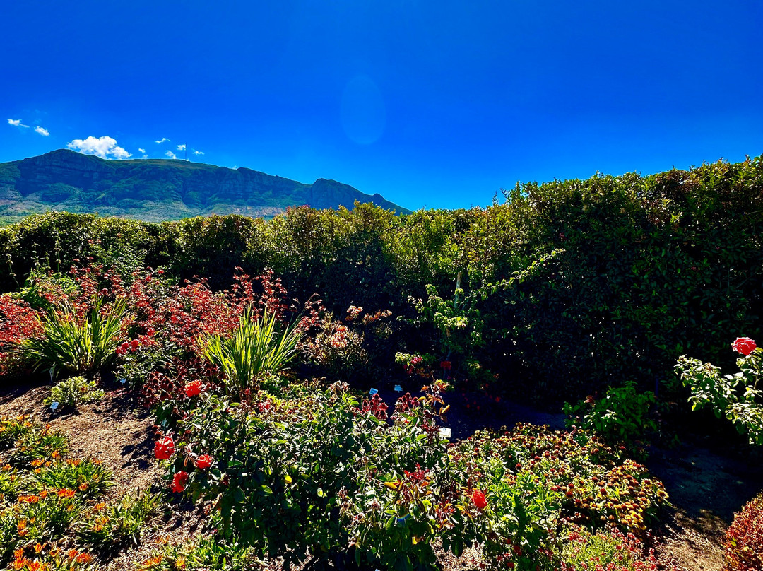 Constantia Uitsig Wine Estate-康士坦提亚必去景点