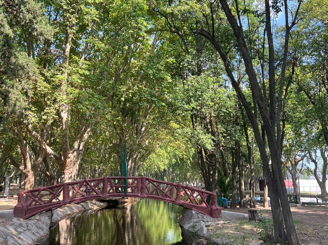 Parque Sarmiento景点图片