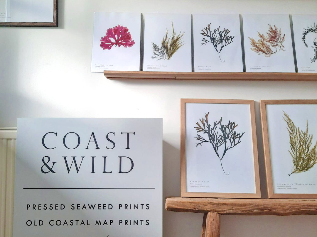 Coast & Wild景点图片