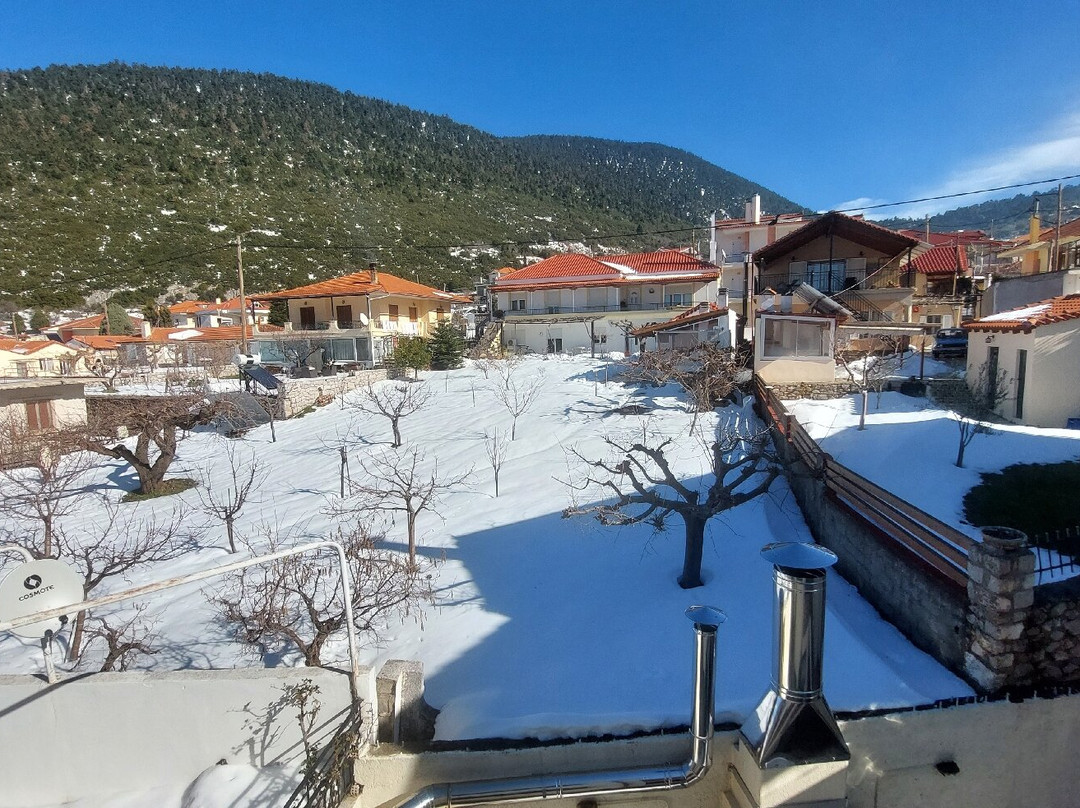 Dianthos Guesthouse主图