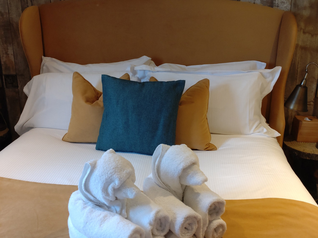 The Bear of Burton主图