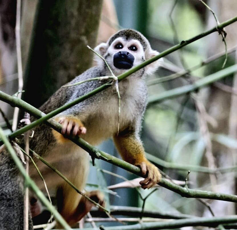 Cardy Adventures & Bike Rental-帕拉马里博必去景点