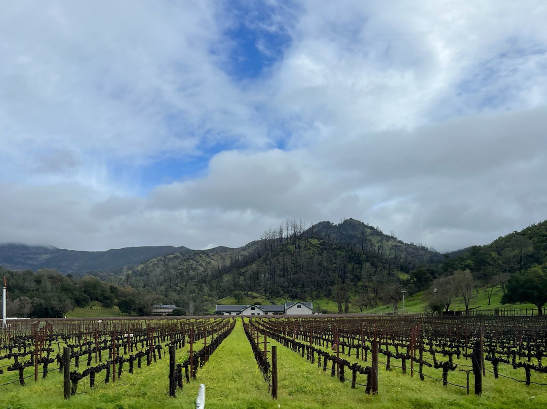 Napa Valley Wine Excursions-圣海伦娜必去景点
