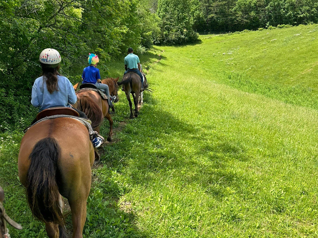 Blue Ridge Mountain Trail Rides At Hells Hollow景点图片