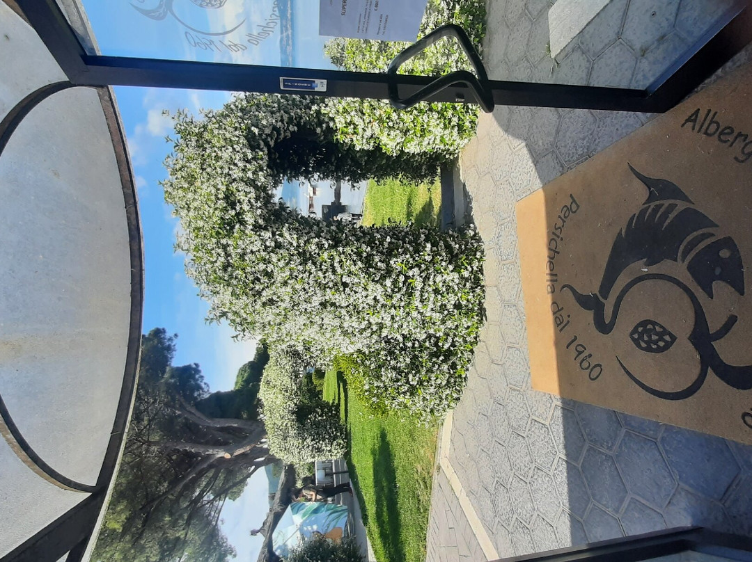 Albergo Ristorante Alfredo da Persichella 1960主图