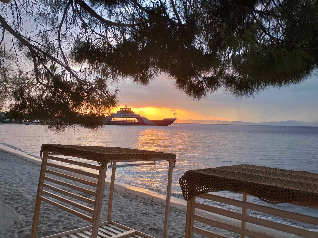 Socrates Plaza Hotel主图