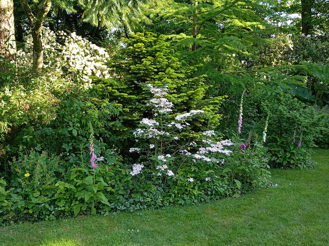 Jardin des Lianes景点图片