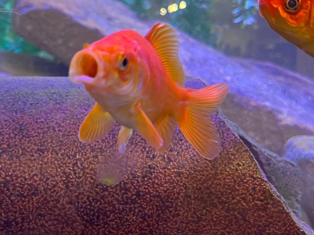 Point Pleasant River Museum-Point Pleasant必去景点