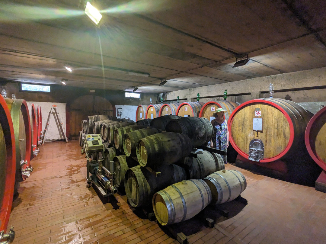 Casa Sola Chianti Winery-巴尔贝里诺瓦尔德尔萨必去景点