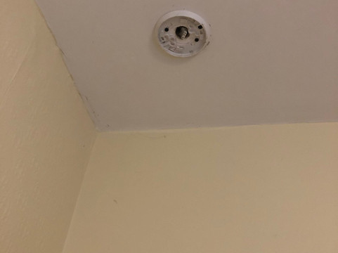 怀特女士酒店主图