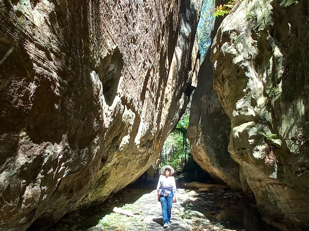 Central Queensland Nature Tours-罗尔斯顿必去景点