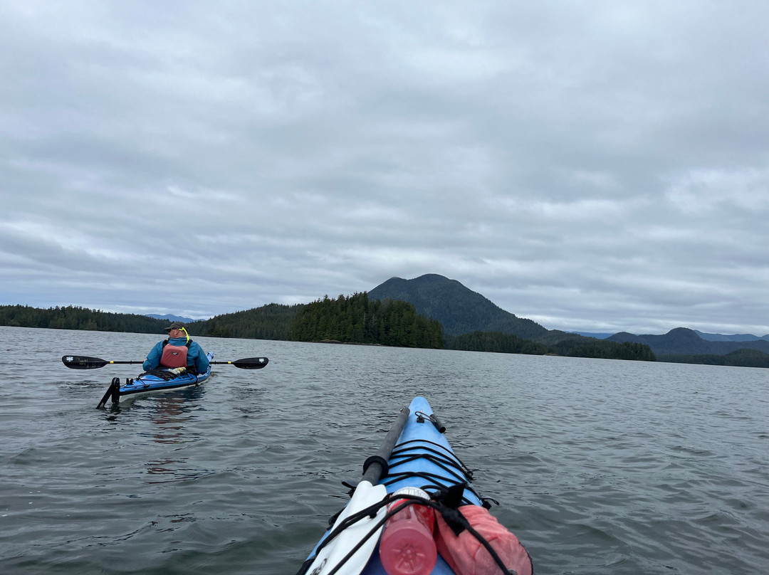 Tofino Sea Kayaking Day Tours景点图片