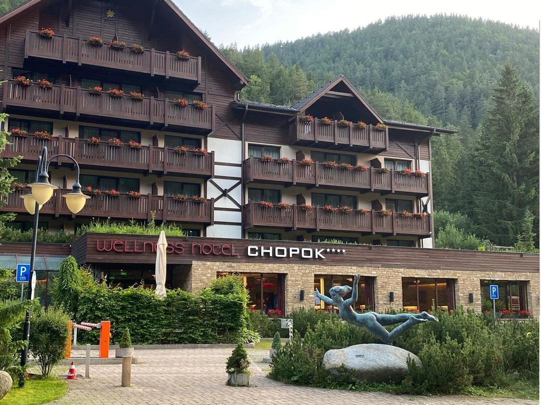 Wellness Hotel Chopok主图