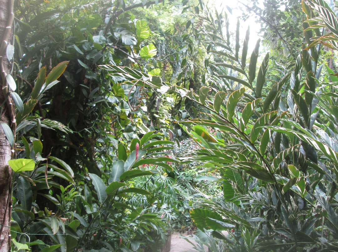 Hotel La Ceiba主图