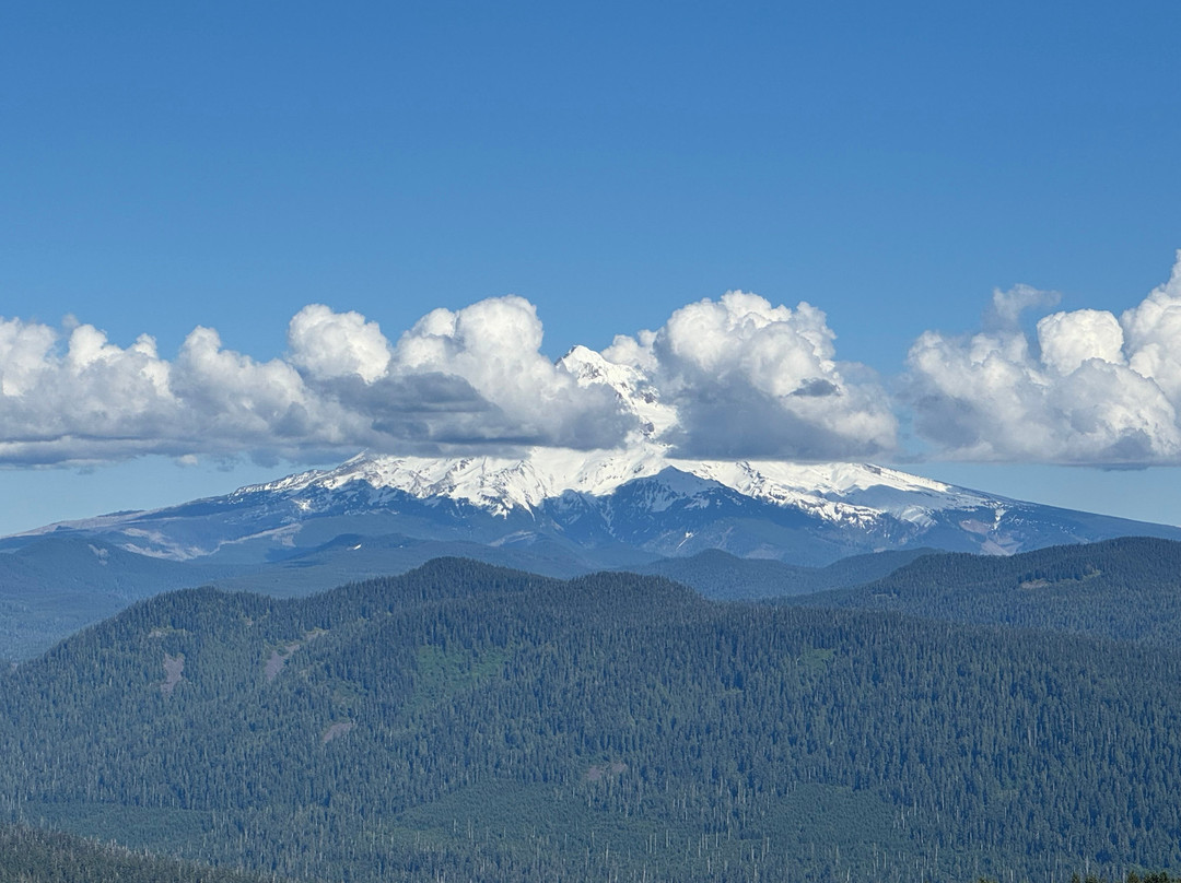 Portland Women's Forum State Scenic Viewpoint-劳特代尔必去景点