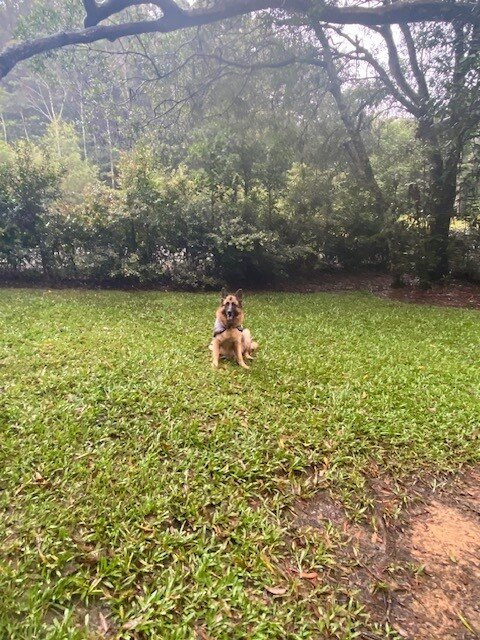 Chilverton Cottages & Day Spa主图