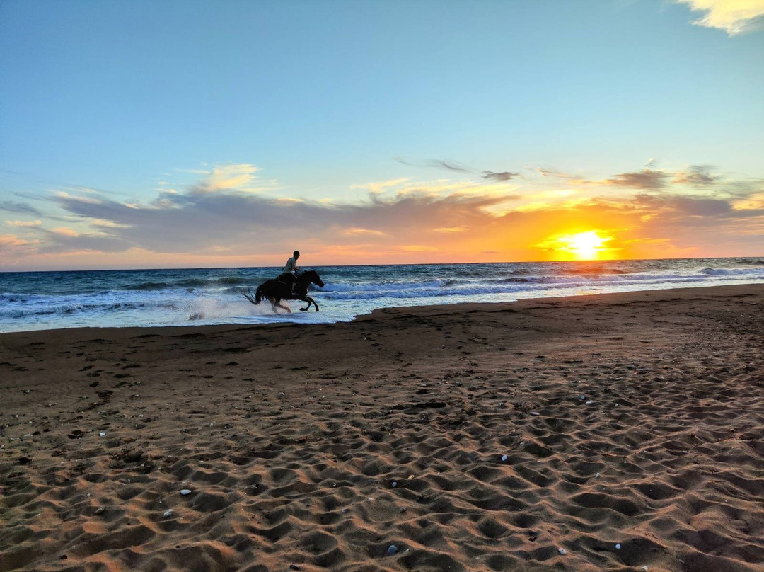 Elea Horse Riding-Elea必去景点