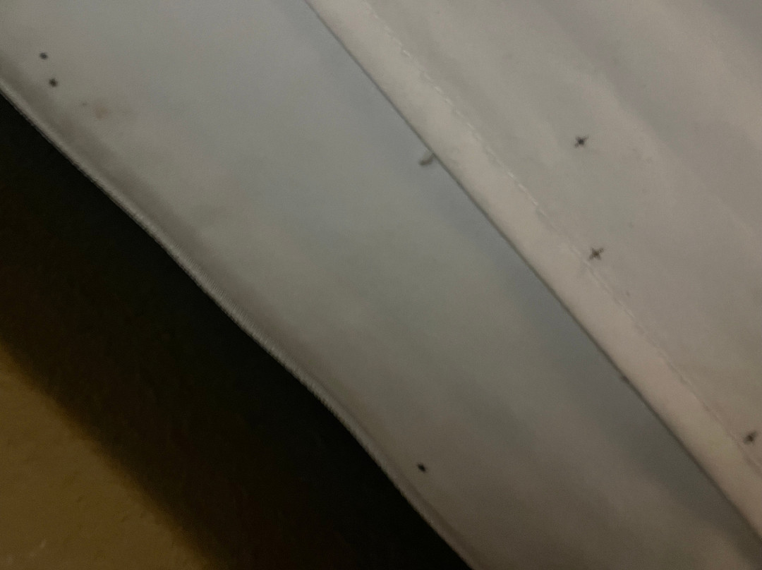 Comfort Suites - Kings Island主图