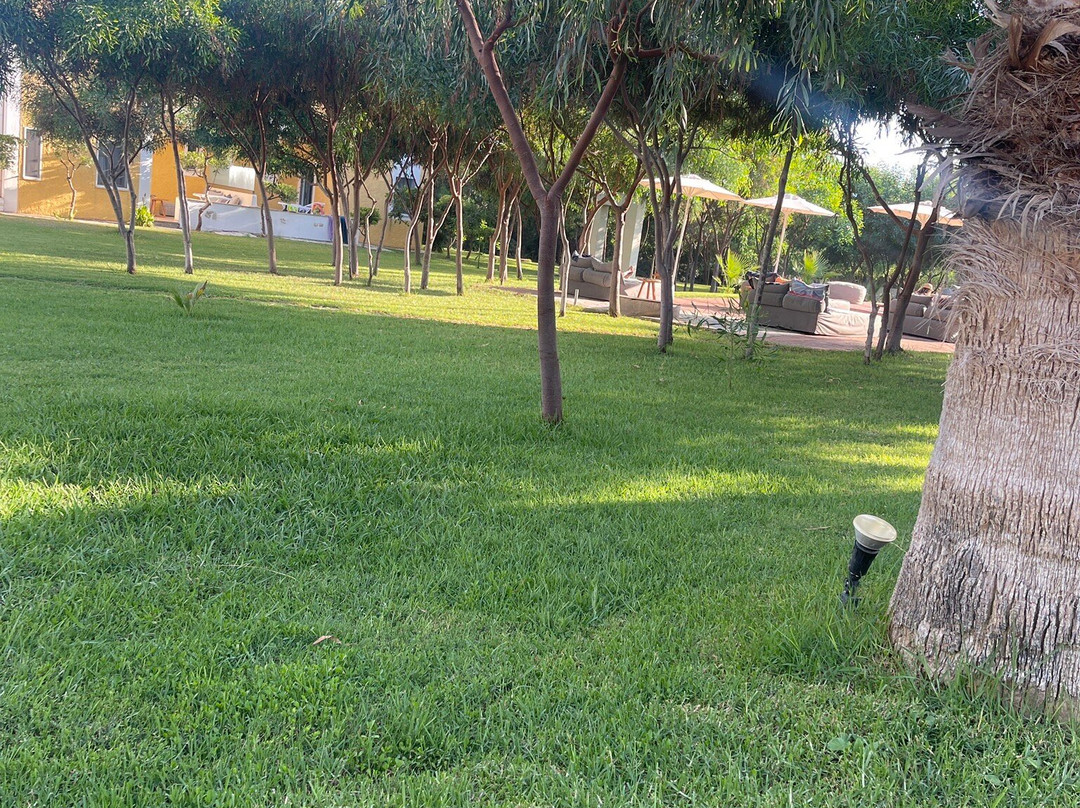 VIP Apartments主图