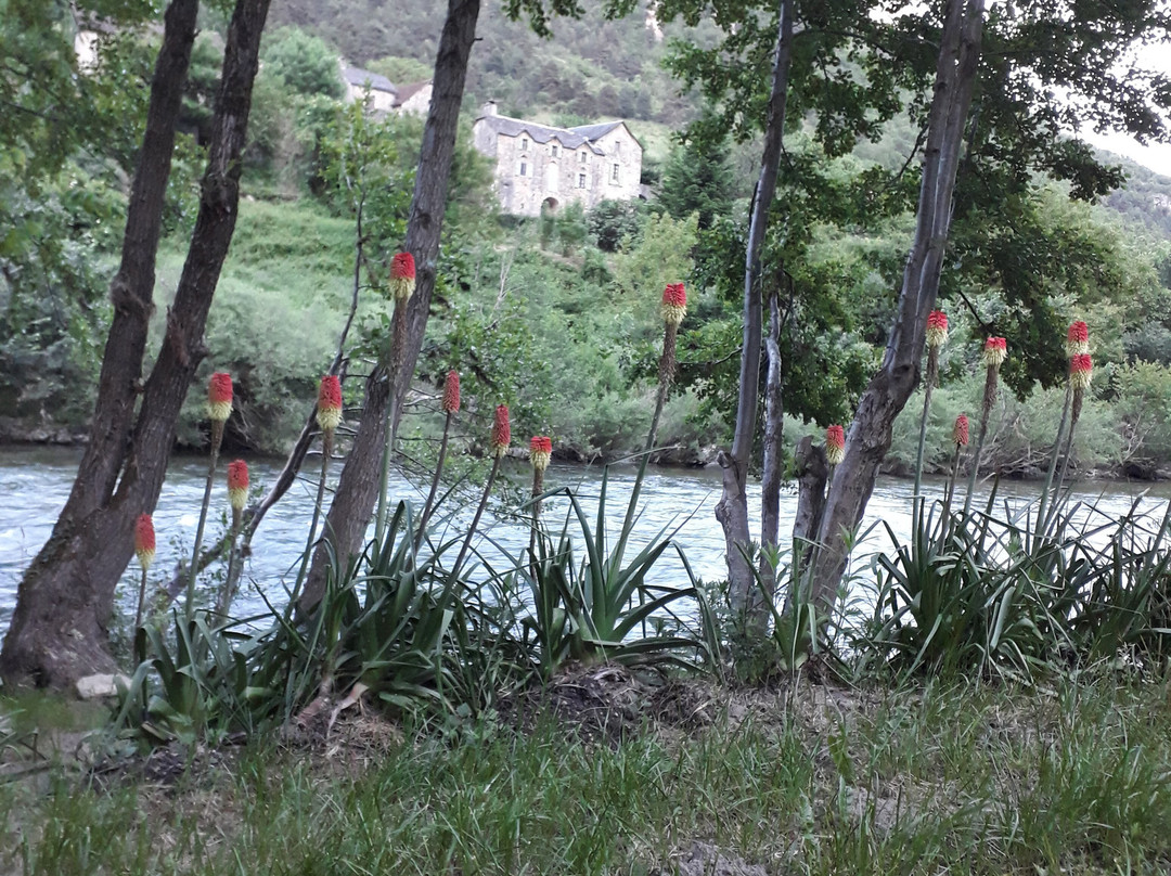 Moulin De Parayre