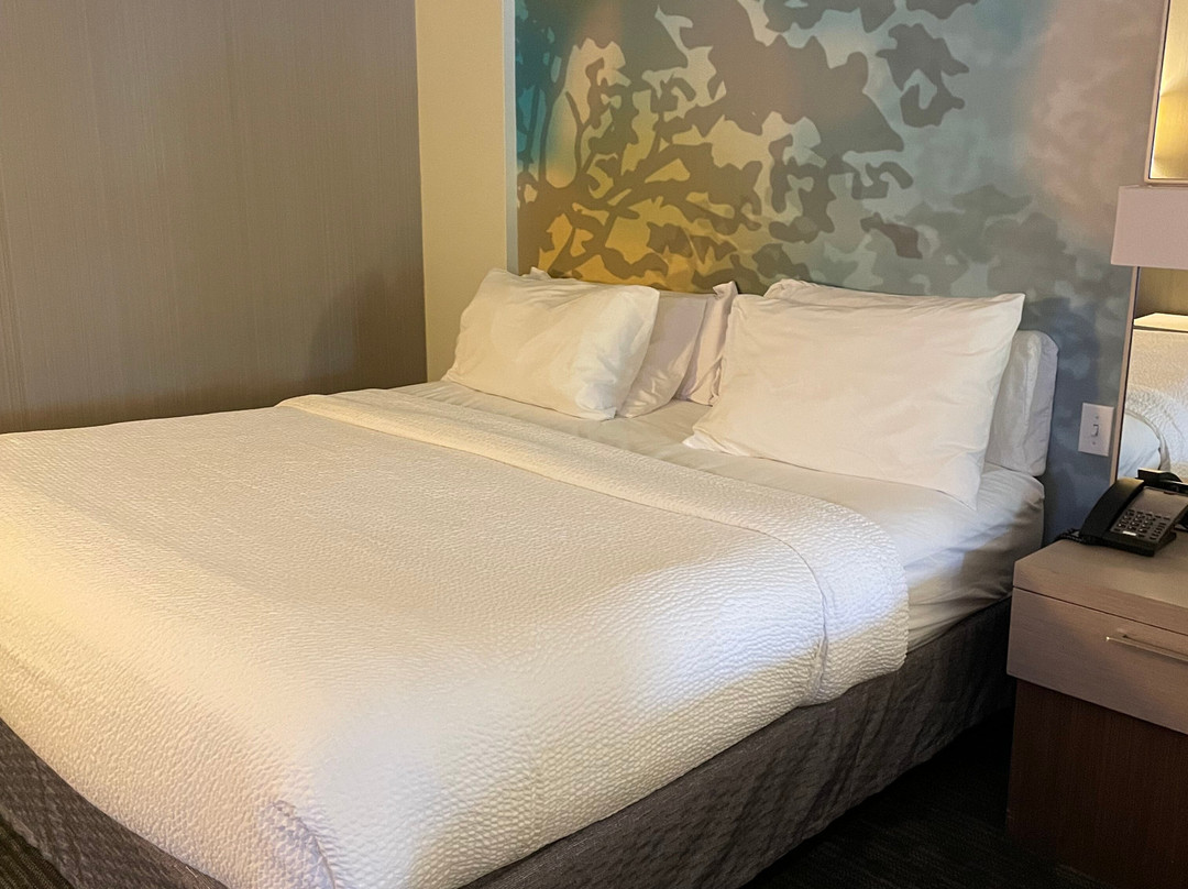 Courtyard Lake George主图