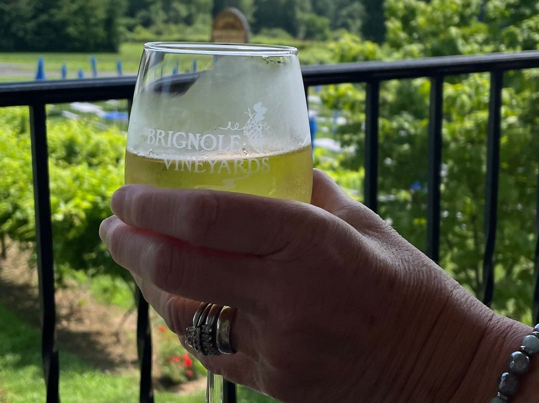 Brignole Vineyards-East Granby必去景点