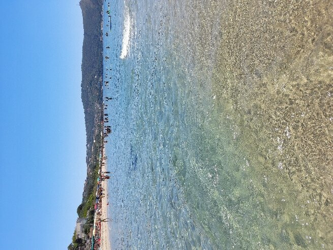 Playa Tortuga Palinuro景点图片